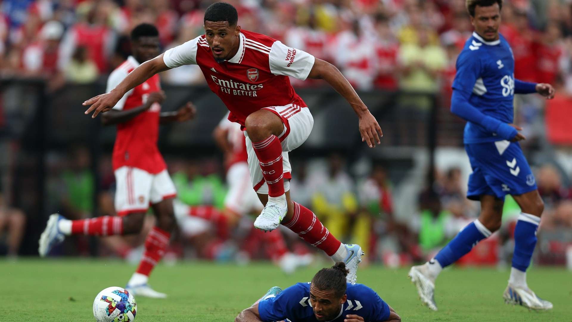 的个人技术 的个人技术